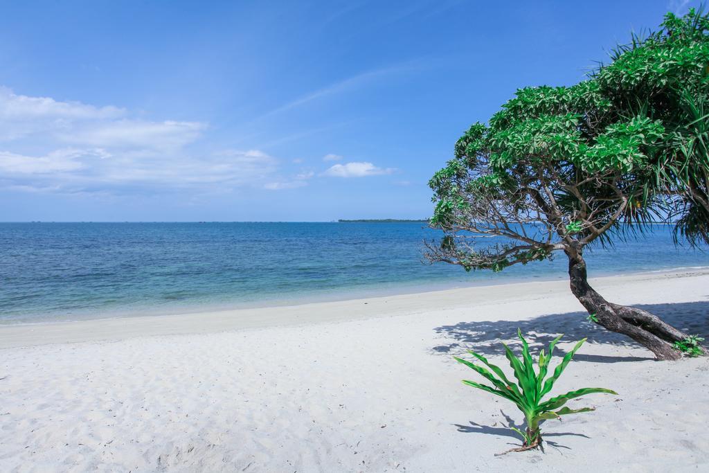 Trikora Beach Club And Resort Teluk Bakau Exterior foto